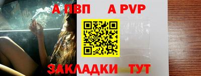 стаф Шебекино